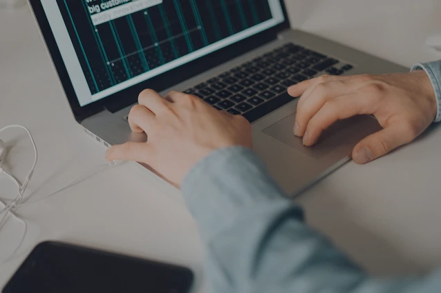 Customer oriented web development services